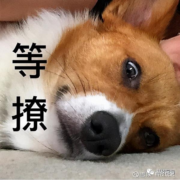 Hi，科技玩吧上線了，歡迎來耍