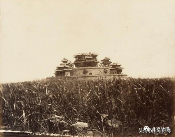 畫說北京丨頤和園裡的山河歲月