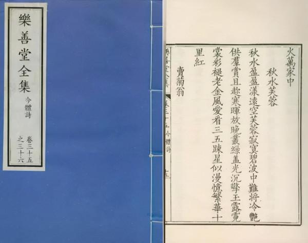 清乾隆粉彩過枝芙蓉花蜻蜓紋盤