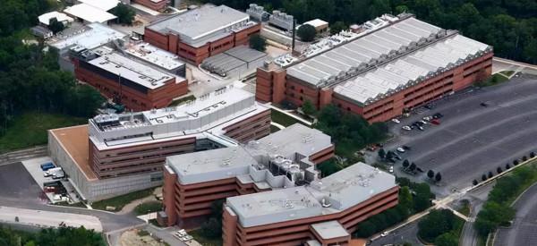 被資本控制的美國太無能，看看孟山都為了錢，是如何禍害美國人的