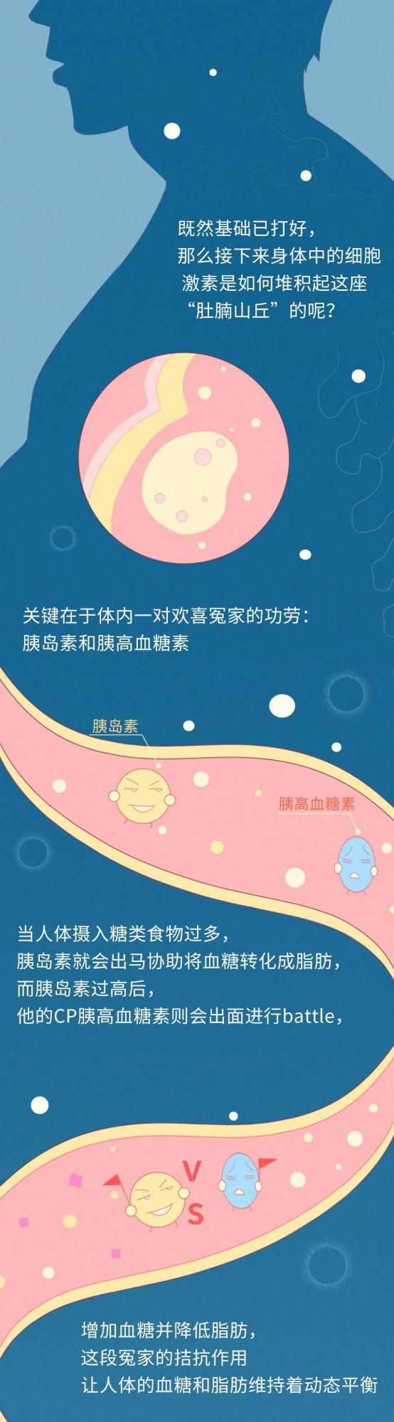 為什麼你明明不胖，卻有小肚子？