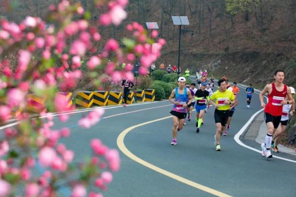 跑步：為什麼跑量增加，成績卻下降了？