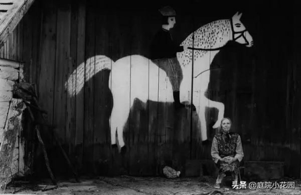 她們把鮮花種在牆上，一不小心這個村莊就美成了童話