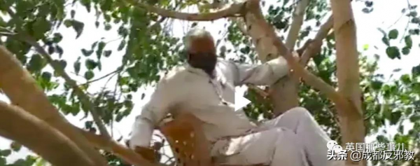 印度小哥感染新冠後，爬樹自我隔離11天，他：人窮只能這樣