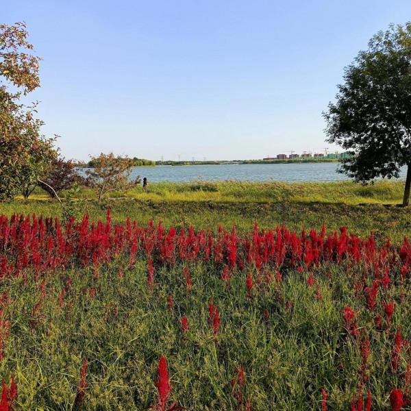 兩萬元讓鄰居家破人亡 兩萬元讓鄰居家破人亡