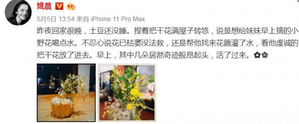 姚晨女兒扮自己最喜愛的小動物，扮成了一隻暴龍