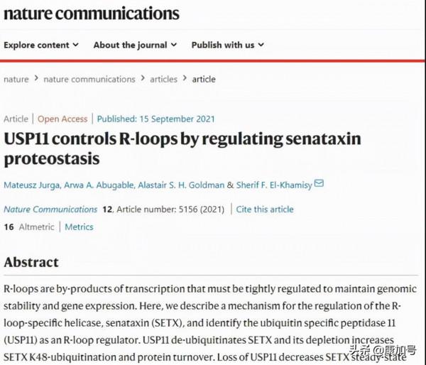 基因治療有望緩解癌症和痴呆症?科學家這一發現將帶你揭開謎底 基因治療有望緩解癌症和痴呆症?科學家這一發現將帶你揭開謎底
