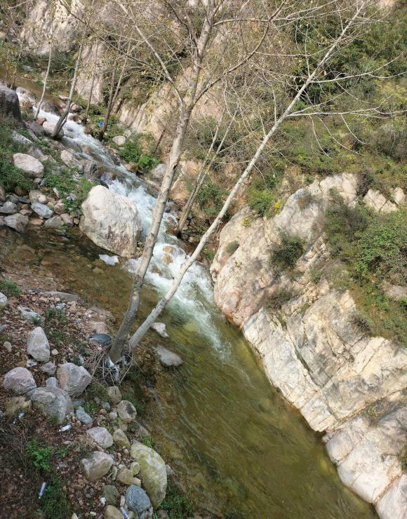 河北釣友深山溪流釣起許多“兇猛怪魚”,大的一斤多,野生虹鱒? 河北釣友深山溪流釣起許多“兇猛怪魚”,大的一斤多,野生虹鱒?