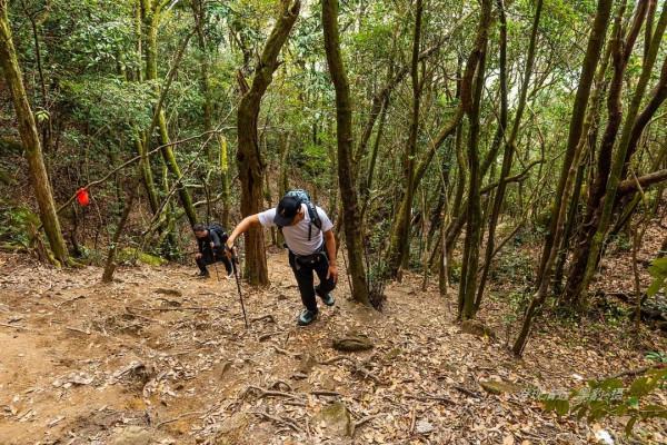 紅楓映襯下的廣東雲髻山，奇峰俊秀怪石嶙峋值得挑戰