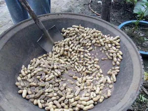 炒花生（作者：張曉峰）