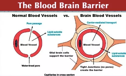 35歲男子訂婚旅行 卻意外染上罕見絕症 大腦&quot&semi;發黴&quot&semi; 比新冠還可怕