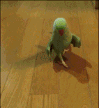 「走路快」的人多活15年！涉及47.5萬人的研究證實了