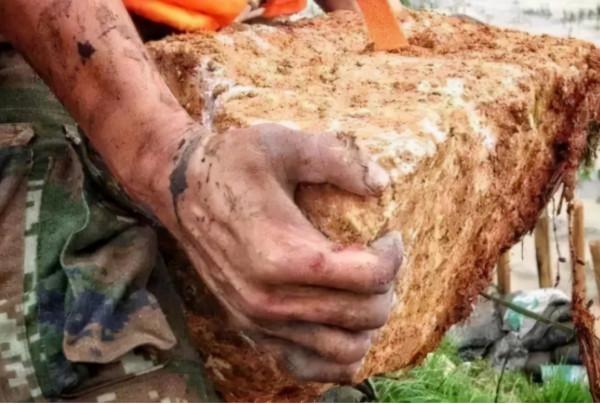 08年地震後，程林祥背兒子遺體，徒步25公里回家，後來如何了？