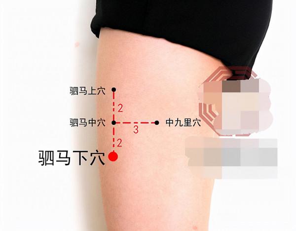 中醫針灸肩部疾病處方1 中醫針灸肩部疾病處方1