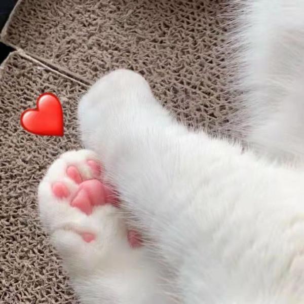 曾經被你嫌棄得一無是處，其實比瑜伽、“帕梅拉”等運動更有用