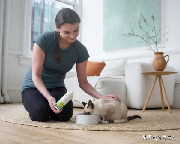 究竟什麼時候該給寵物刷牙？不刷牙真的會生病嗎？