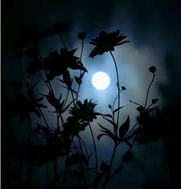 中秋來啦!12首經典的“中秋詩詞”一定要讓孩子知道 中秋來啦!12首經典的“中秋詩詞”一定要讓孩子知道