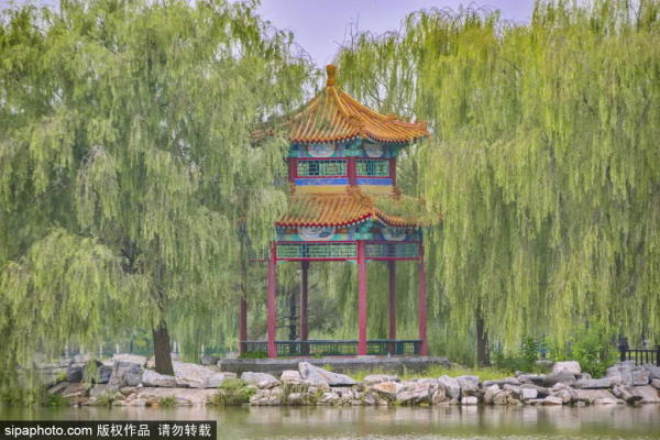 免費!這幾個公園風景如畫,還有竹林、大草坪~ 免費!這幾個公園風景如畫,還有竹林、大草坪~