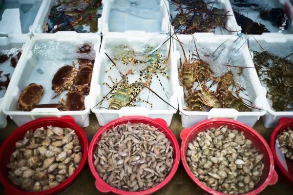 和廣東打了50架,也沒在“誰更會吃雞”這個問題上分出高下 和廣東打了50架,也沒在“誰更會吃雞”這個問題上分出高下