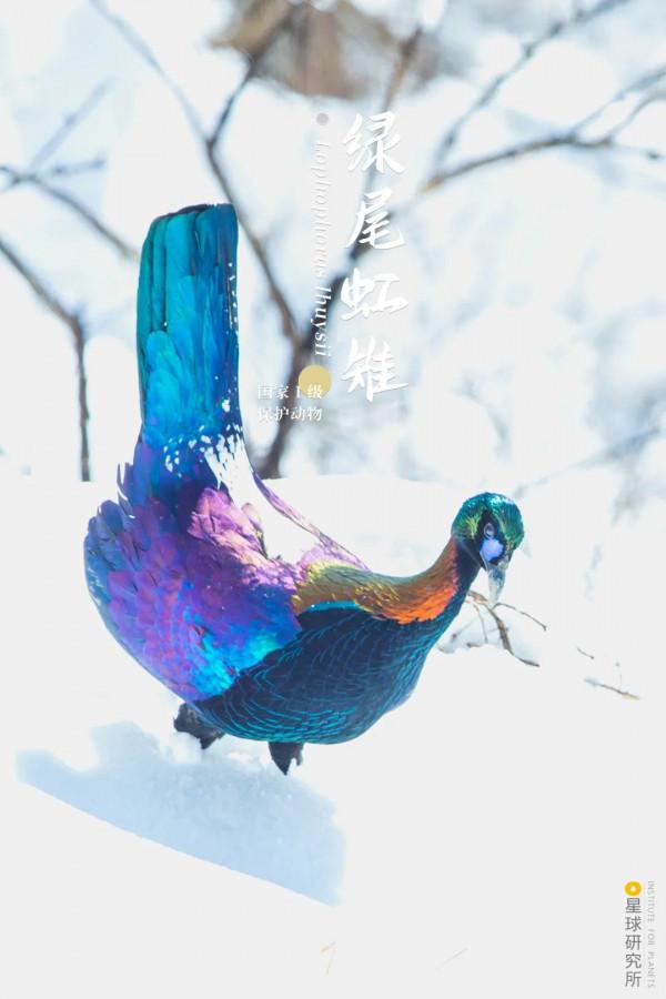 出發！看中國五大國家公園