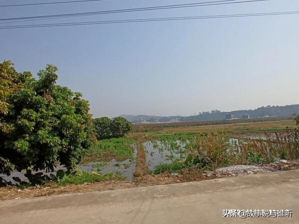 廣西玉林:北流第一任縣委書記的祖祠,風生水起的格局 廣西玉林:北流第一任縣委書記的祖祠,風生水起的格局