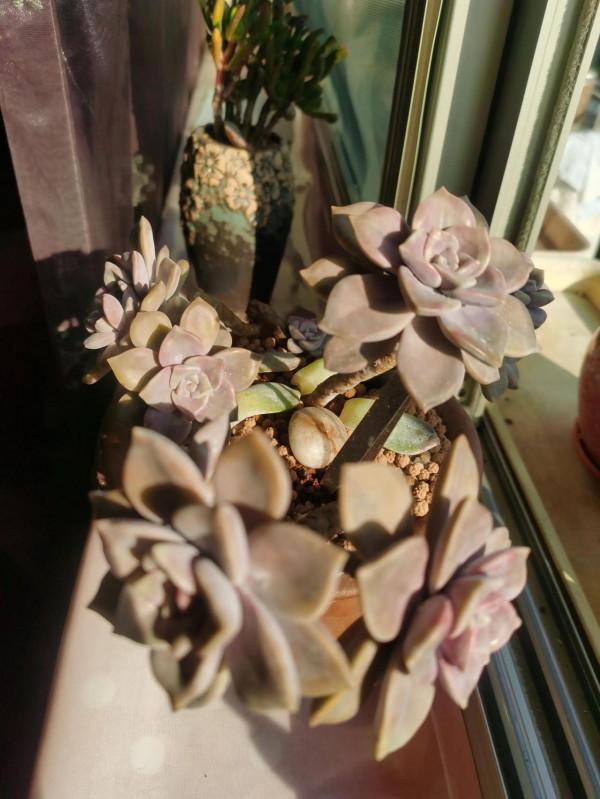 離家三個多月,肉肉還好嗎? 離家三個多月,肉肉還好嗎?