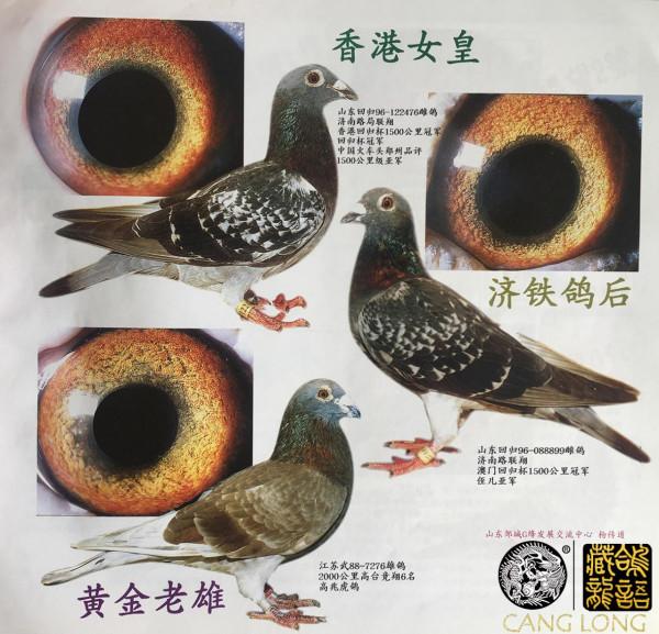 第三屆國家賽鄭州賽區及全國500公里冠軍吳玉前專訪 第三屆國家賽鄭州賽區及全國500公里冠軍吳玉前專訪