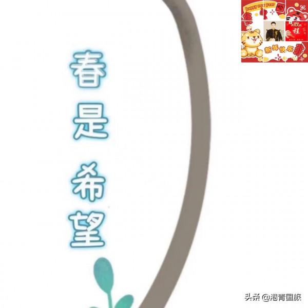 專家齊發聲，紀檢委保駕，國內遊即將火爆迴歸