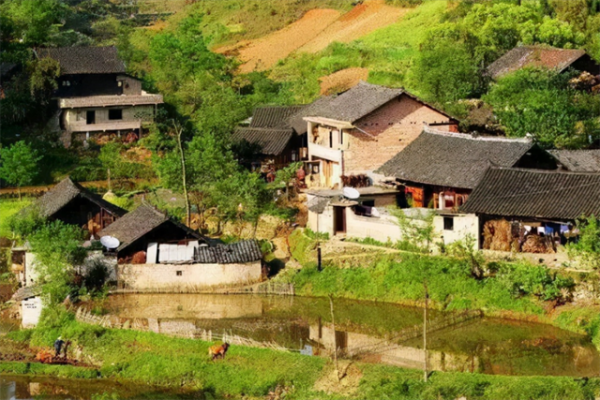 1961年，中科院專家去貴州調查&OpenCurlyDoubleQuote;鬼剃頭&rdquo;，結果自己也一夜變光頭