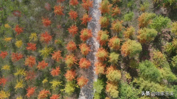 這個地方，會紅到你的心裡去
