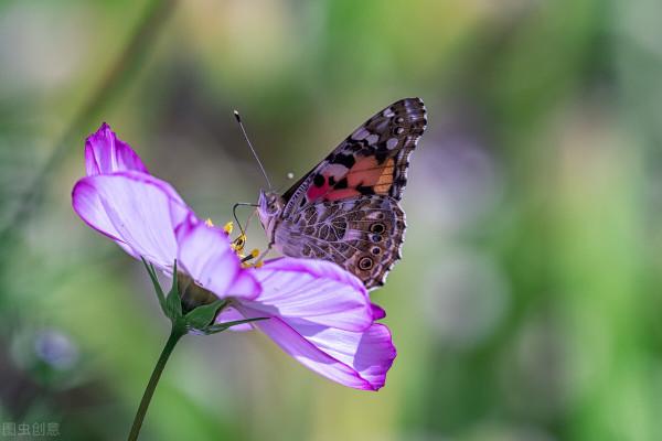 有關江西省的二十四個冷知識，看完才知道原來江西有這麼多稱號
