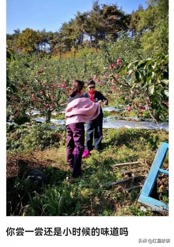 192師西溝軍娃軼事 192師西溝軍娃軼事