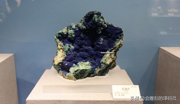 貴州地質博物館內的那些珍惜礦石（化石）、寶石你最喜歡那一塊？