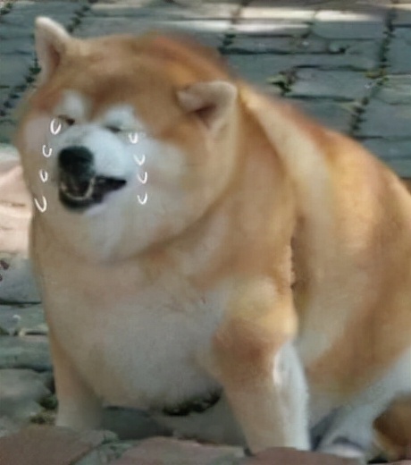 遊戲做成這樣不要拿出來丟人現眼！RNM！退錢