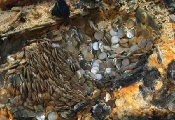 太平天國敗亡後，天國寶藏都去了哪裡？曾國藩連夜審訊