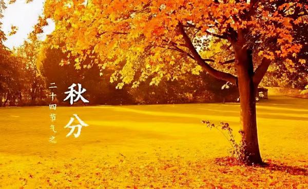 明日仲秋,老話“月夕秋分前,必定是災年”是啥說法?有哪些講究 明日仲秋,老話“月夕秋分前,必定是災年”是啥說法?有哪些講究