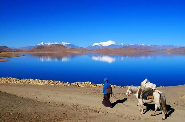 西藏羊湖8億公斤魚類氾濫成災，隨手就可捕撈，為何無人敢吃？