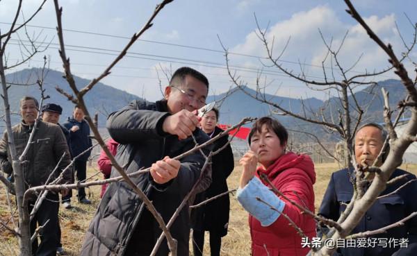 勉縣定軍山林果園有位身殘志堅的聾啞女骨幹