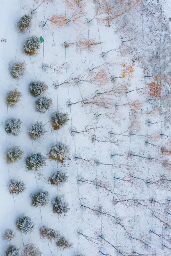 小信觀美景 ▍Bingo！這兒有一份冬日美好請簽收