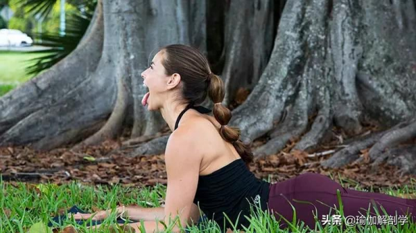 適合每天練習的11個瑜伽體式，見證身體的自愈