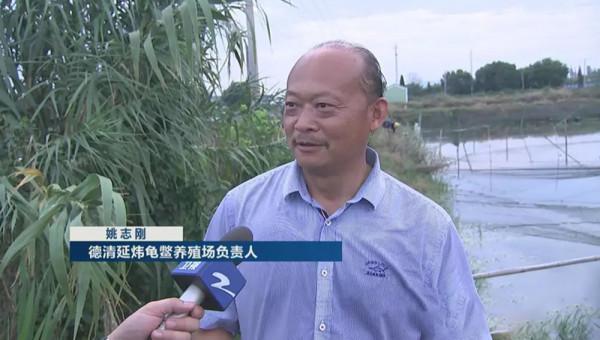 姚志剛:不到兩萬元入行,養龜鱉絕地翻身,年賣甲魚達千萬元 姚志剛:不到兩萬元入行,養龜鱉絕地翻身,年賣甲魚達千萬元