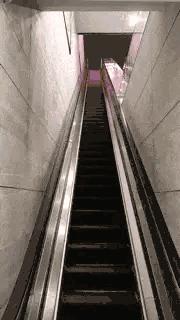 這孩子真可憐，還沒出生政審就過不了！網友：太難了