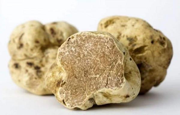 盤點10款價格昂貴的美食，用鑽石黃金來作為裝飾品，你吃過幾個呢