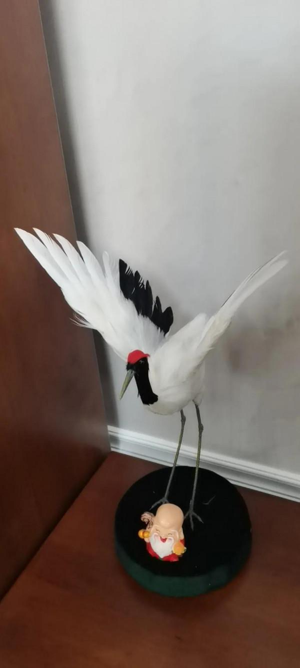 為什麼有的人 年紀輕輕卻思想高遠,有深度、有見解 為什麼有的人 年紀輕輕卻思想高遠,有深度、有見解