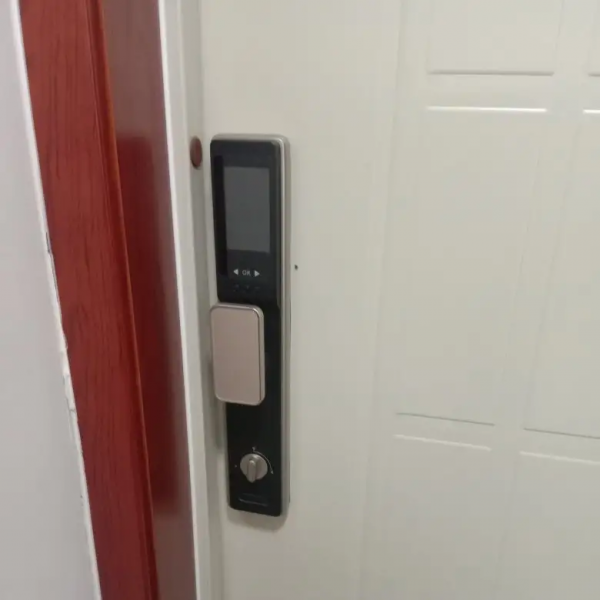 有顏有智慧，TCL AI貓眼智慧鎖保障家居安全