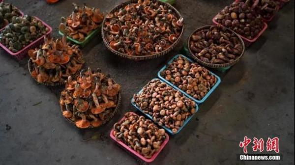 雲南到底有多美？誰沒去過誰後悔……