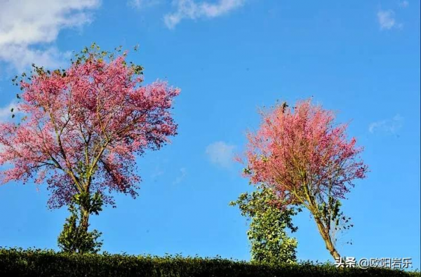 適合冬天出發的12條自駕路線，人少景美，來一場自駕之旅吧