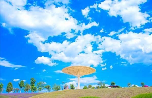 童話故事裡一個獨特地方——彌勒東風韻