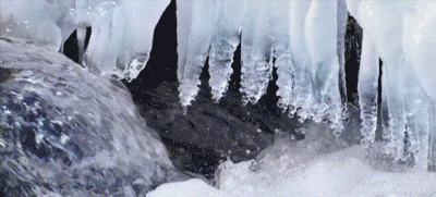 低卡有機沙棘木耳，讓你瘦瘦瘦不停