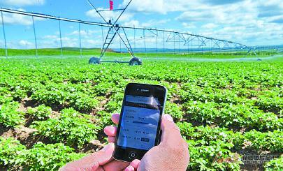 適應西北大田的物聯農業智控灌溉系統：16項專利讓澆水更智慧